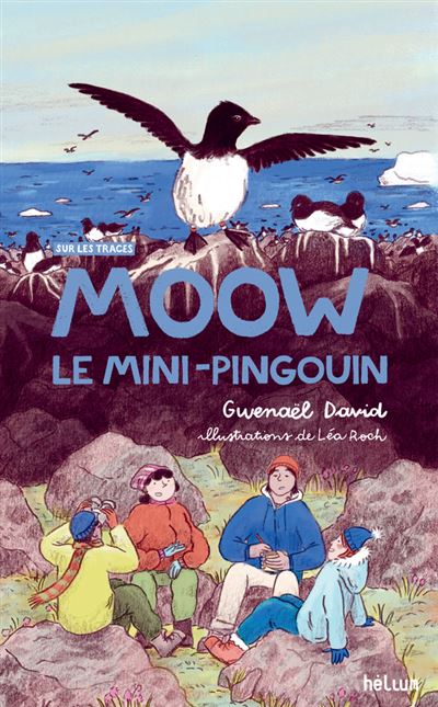 Moow, le mini-pingouin