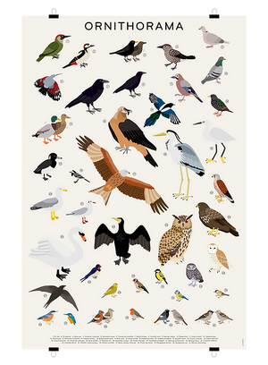Poster géant Ornithorama